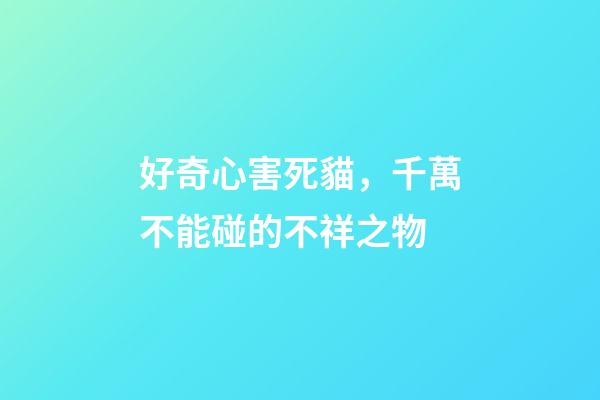 好奇心害死貓，千萬不能碰的不祥之物