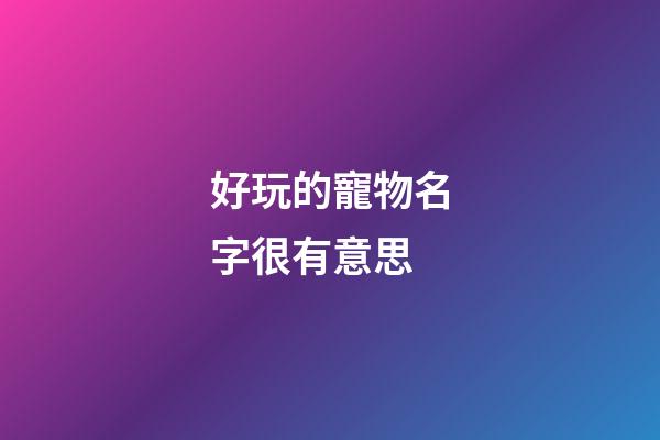 好玩的寵物名字很有意思