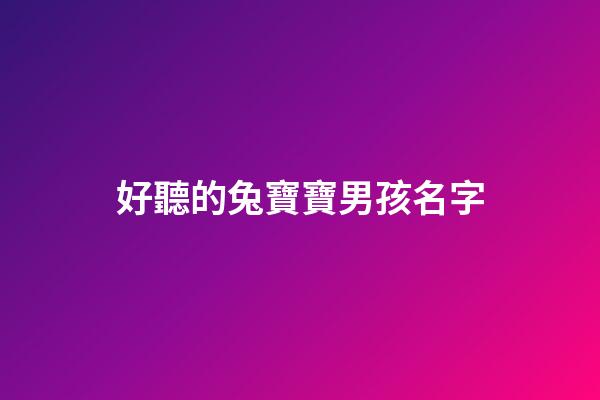 好聽的兔寶寶男孩名字(兔男寶寶名字大全2011)-第1張-男孩起名-玄機派