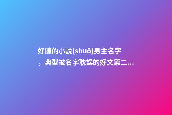 好聽的小說(shuō)男主名字，典型被名字耽誤的好文第二彈-第1張-觀點(diǎn)-玄機(jī)派