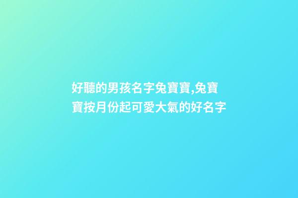 好聽的男孩名字兔寶寶,兔寶寶按月份起可愛大氣的好名字-第1張-觀點-玄機派