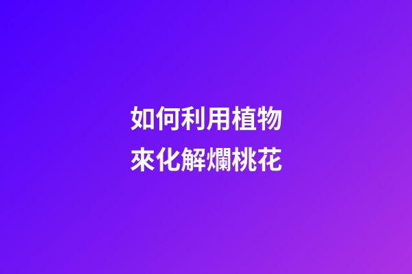 如何利用植物來化解爛桃花