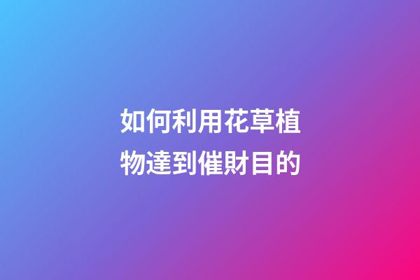 如何利用花草植物達到催財目的