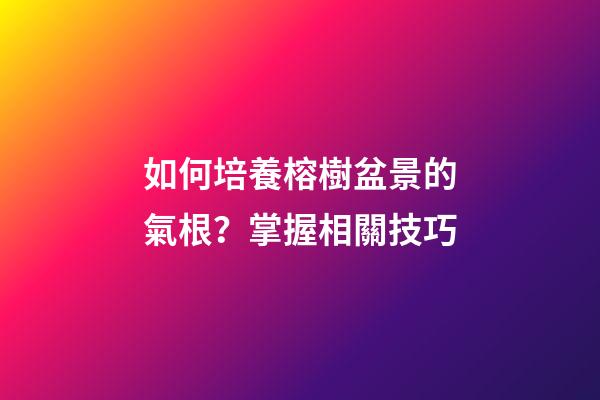 如何培養榕樹盆景的氣根？掌握相關技巧