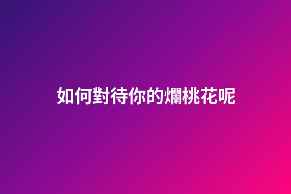 如何對待你的爛桃花呢