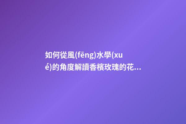 如何從風(fēng)水學(xué)的角度解讀香檳玫瑰的花語(yǔ)？（香檳玫瑰的花語(yǔ)和象征）