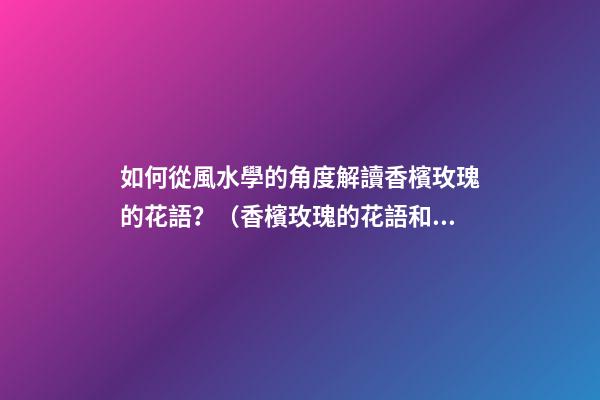 如何從風水學的角度解讀香檳玫瑰的花語？（香檳玫瑰的花語和象征）