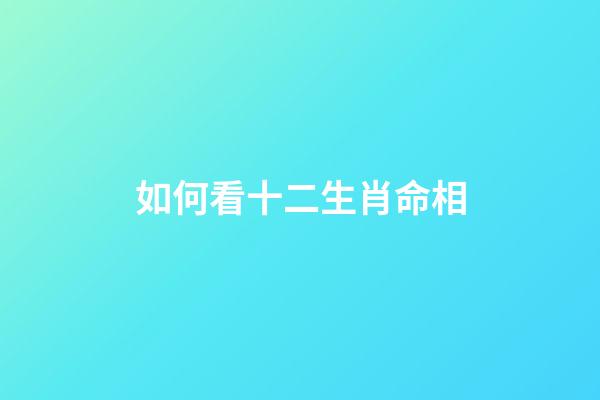 如何看十二生肖命相