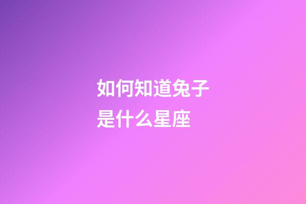 如何知道兔子是什么星座-第1張-星座運勢-玄機派