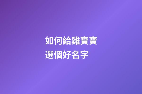 如何給雞寶寶選個好名字