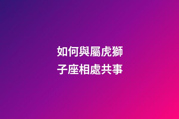 如何與屬虎獅子座相處共事-第1張-星座運勢-玄機派