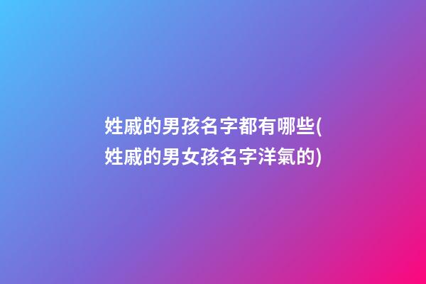 姓戚的男孩名字都有哪些(姓戚的男女孩名字洋氣的)
