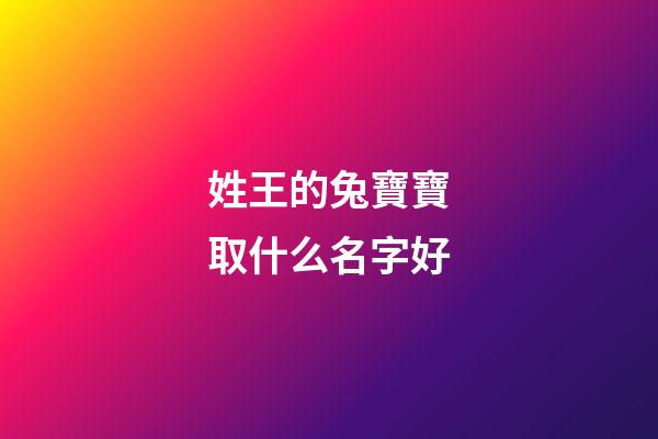 姓王的兔寶寶取什么名字好(姓王的兔寶寶取什么名字好呢)-第1張-寶寶起名-玄機派