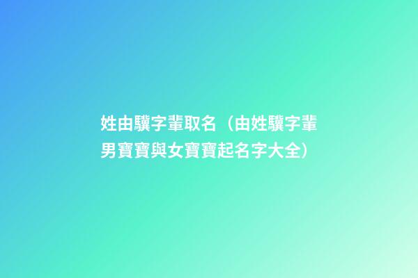 姓由驥字輩取名（由姓驥字輩男寶寶與女寶寶起名字大全）