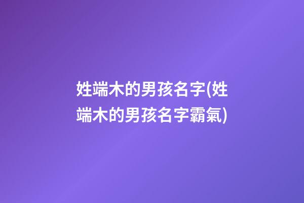 姓端木的男孩名字(姓端木的男孩名字霸氣)