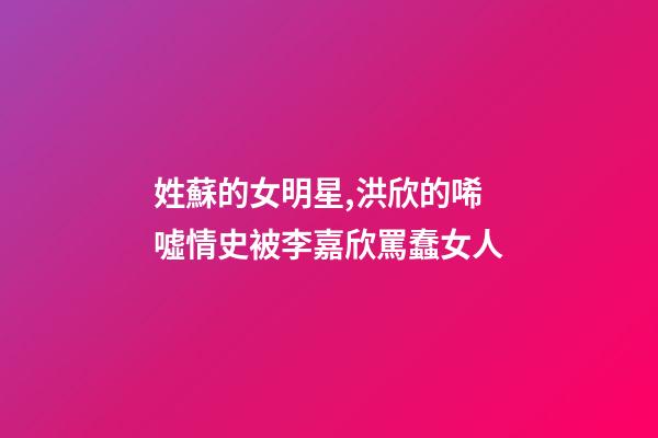 姓蘇的女明星,洪欣的唏噓情史被李嘉欣罵蠢女人-第1張-觀點(diǎn)-玄機(jī)派