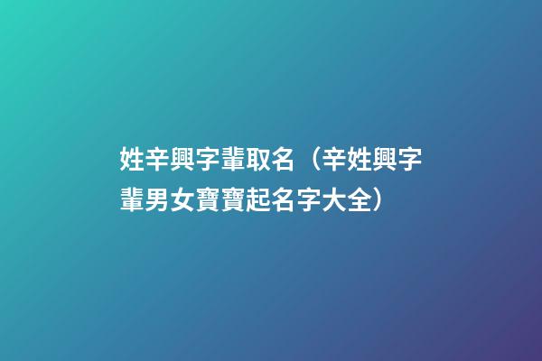 姓辛興字輩取名（辛姓興字輩男女寶寶起名字大全）