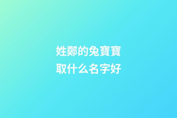 姓鄭的兔寶寶取什么名字好(姓鄭的寶寶起名免費)-第1張-寶寶起名-玄機派
