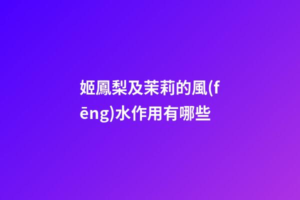 姬鳳梨及茉莉的風(fēng)水作用有哪些?