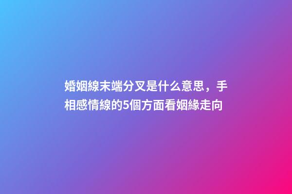 婚姻線末端分叉是什么意思，手相感情線的5個方面看姻緣走向-第1張-觀點-玄機派