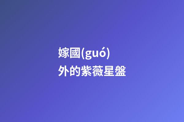 嫁國(guó)外的紫薇星盤