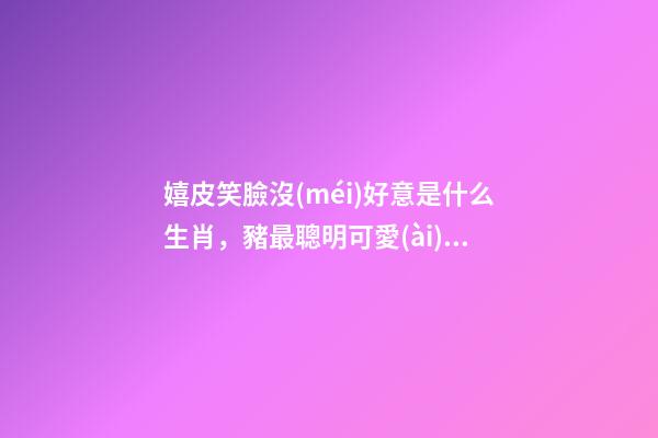 嬉皮笑臉沒(méi)好意是什么生肖，豬最聰明可愛(ài)——晁谷己亥畫(huà)生肖丨私享-第1張-觀點(diǎn)-玄機(jī)派
