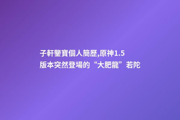 子軒鑒寶個人簡歷,原神1.5版本突然登場的“大肥龍”若陀-第1張-觀點-玄機派