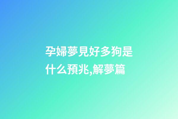 孕婦夢見好多狗是什么預兆,解夢篇(二)-第1張-觀點-玄機派