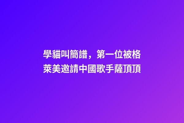 學貓叫簡譜，第一位被格萊美邀請中國歌手薩頂頂-第1張-觀點-玄機派