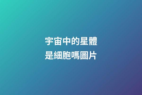 宇宙中的星體是細胞嗎圖片
