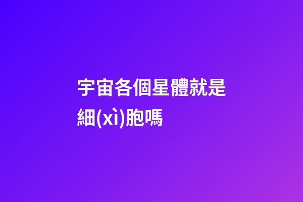 宇宙各個星體就是細(xì)胞嗎