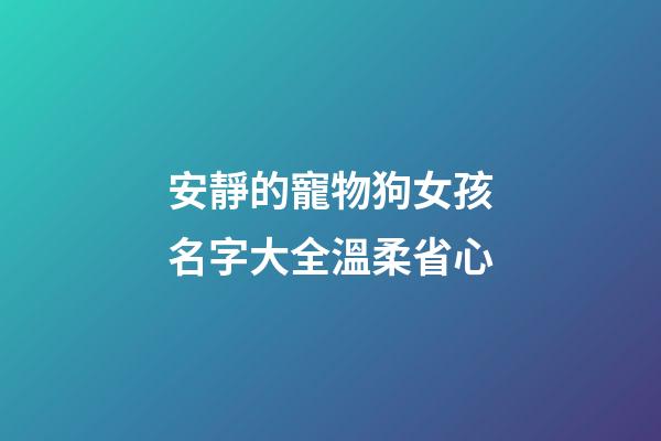 安靜的寵物狗女孩名字大全溫柔省心