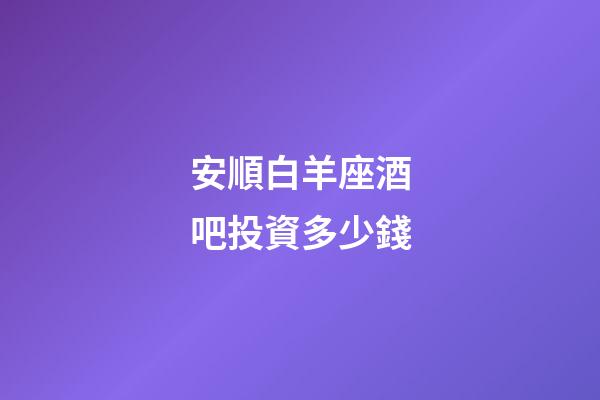 安順白羊座酒吧投資多少錢