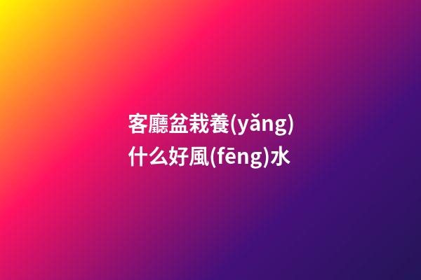 客廳盆栽養(yǎng)什么好風(fēng)水