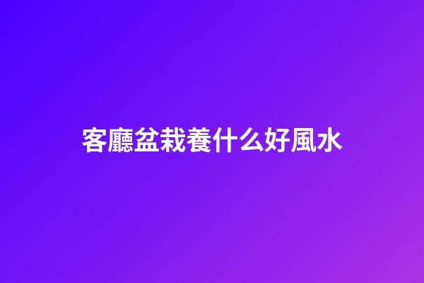 客廳盆栽養什么好風水