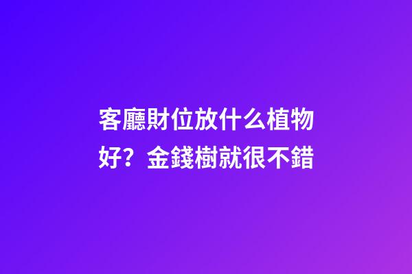客廳財位放什么植物好？金錢樹就很不錯