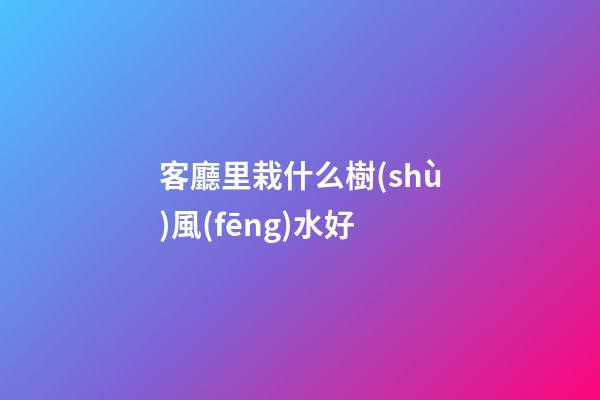 客廳里栽什么樹(shù)風(fēng)水好