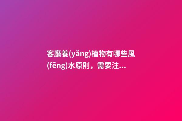 客廳養(yǎng)植物有哪些風(fēng)水原則，需要注意的都在這里了