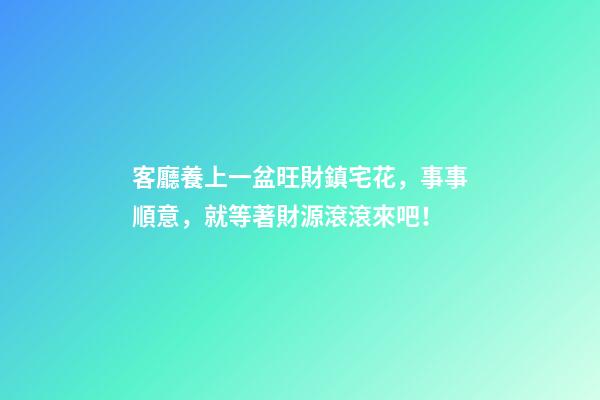 客廳養上一盆旺財鎮宅花，事事順意，就等著財源滾滾來吧！