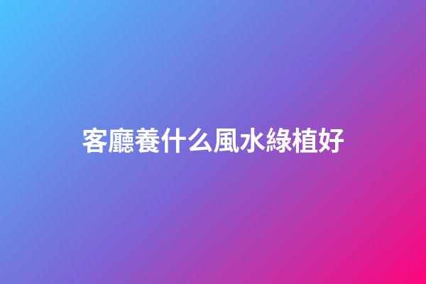 客廳養什么風水綠植好