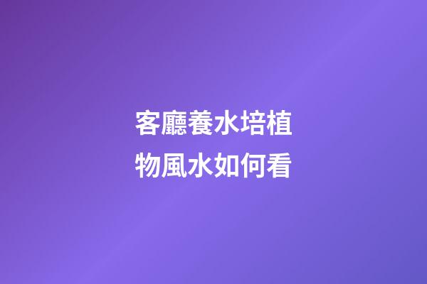 客廳養水培植物風水如何看