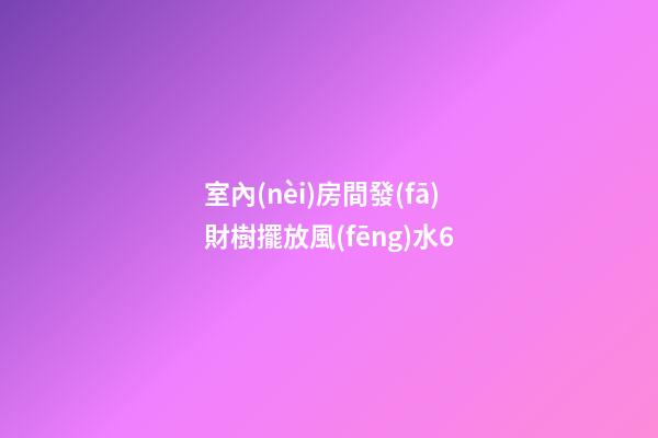 室內(nèi)房間發(fā)財樹擺放風(fēng)水6