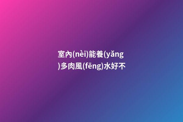 室內(nèi)能養(yǎng)多肉風(fēng)水好不