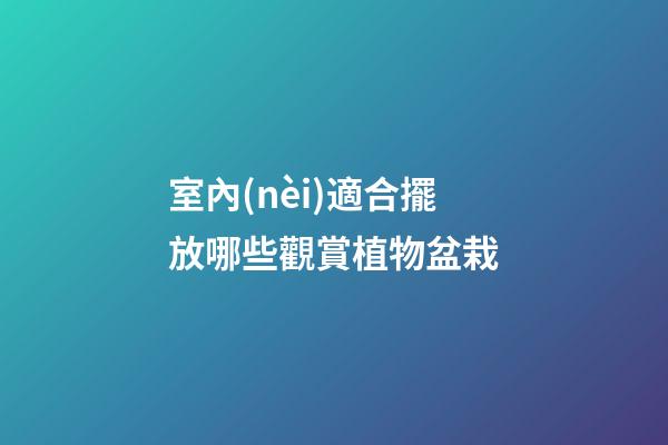 室內(nèi)適合擺放哪些觀賞植物盆栽