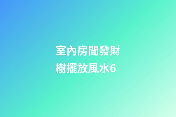 室內房間發財樹擺放風水6
