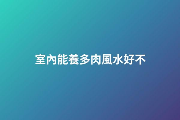 室內能養多肉風水好不