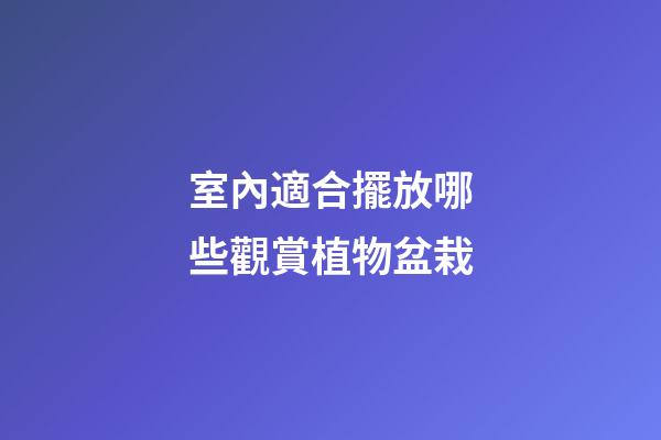 室內適合擺放哪些觀賞植物盆栽