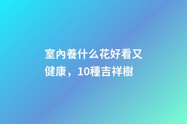 室內養什么花好看又健康，10種吉祥樹-第1張-觀點-玄機派