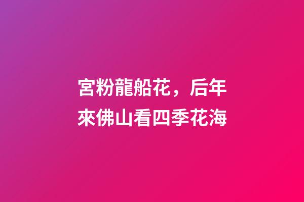 宮粉龍船花，后年來佛山看四季花海-第1張-觀點-玄機派