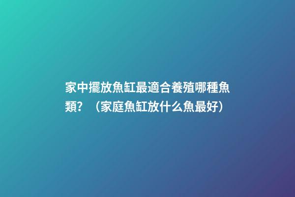 家中擺放魚缸最適合養殖哪種魚類？（家庭魚缸放什么魚最好）